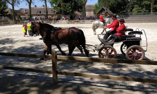 Haras national du Pin